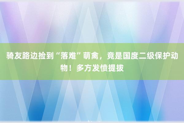 骑友路边捡到“落难”萌禽，竟是国度二级保护动物！多方发愤提拔