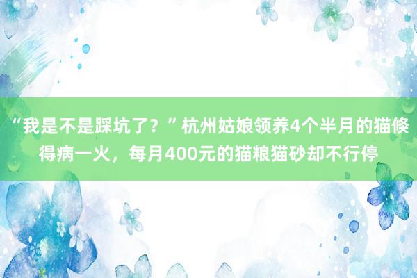 “我是不是踩坑了？”杭州姑娘领养4个半月的猫倏得病一火，每月400元的猫粮猫砂却不行停