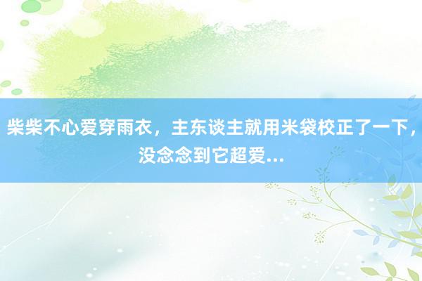 柴柴不心爱穿雨衣，主东谈主就用米袋校正了一下，没念念到它超爱...