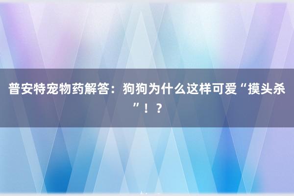 普安特宠物药解答：狗狗为什么这样可爱“摸头杀”！？