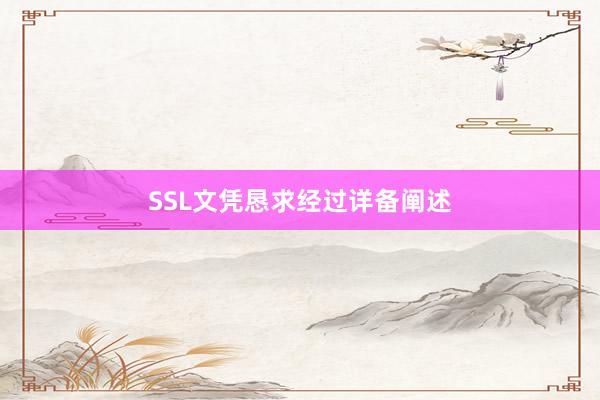 SSL文凭恳求经过详备阐述