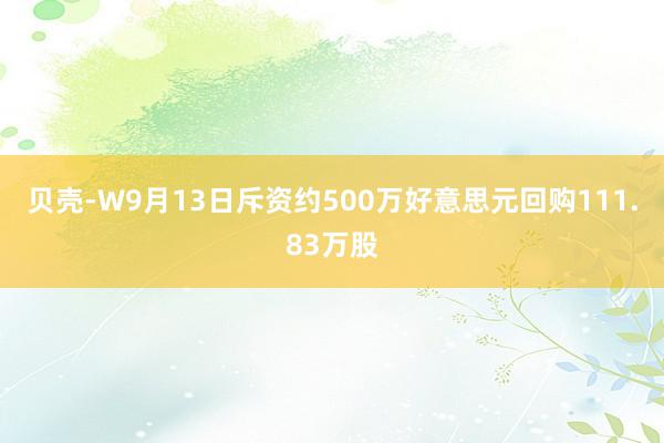 贝壳-W9月13日斥资约500万好意思元回购111.83万股