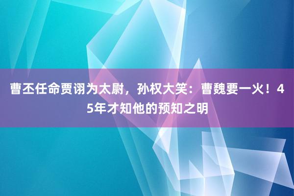 曹丕任命贾诩为太尉，孙权大笑：曹魏要一火！45年才知他的预知之明