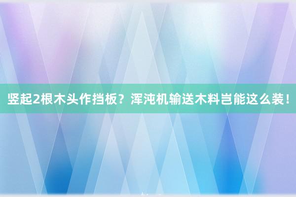 竖起2根木头作挡板？浑沌机输送木料岂能这么装！