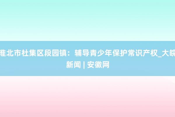 淮北市杜集区段园镇：辅导青少年保护常识产权_大皖新闻 | 安徽网